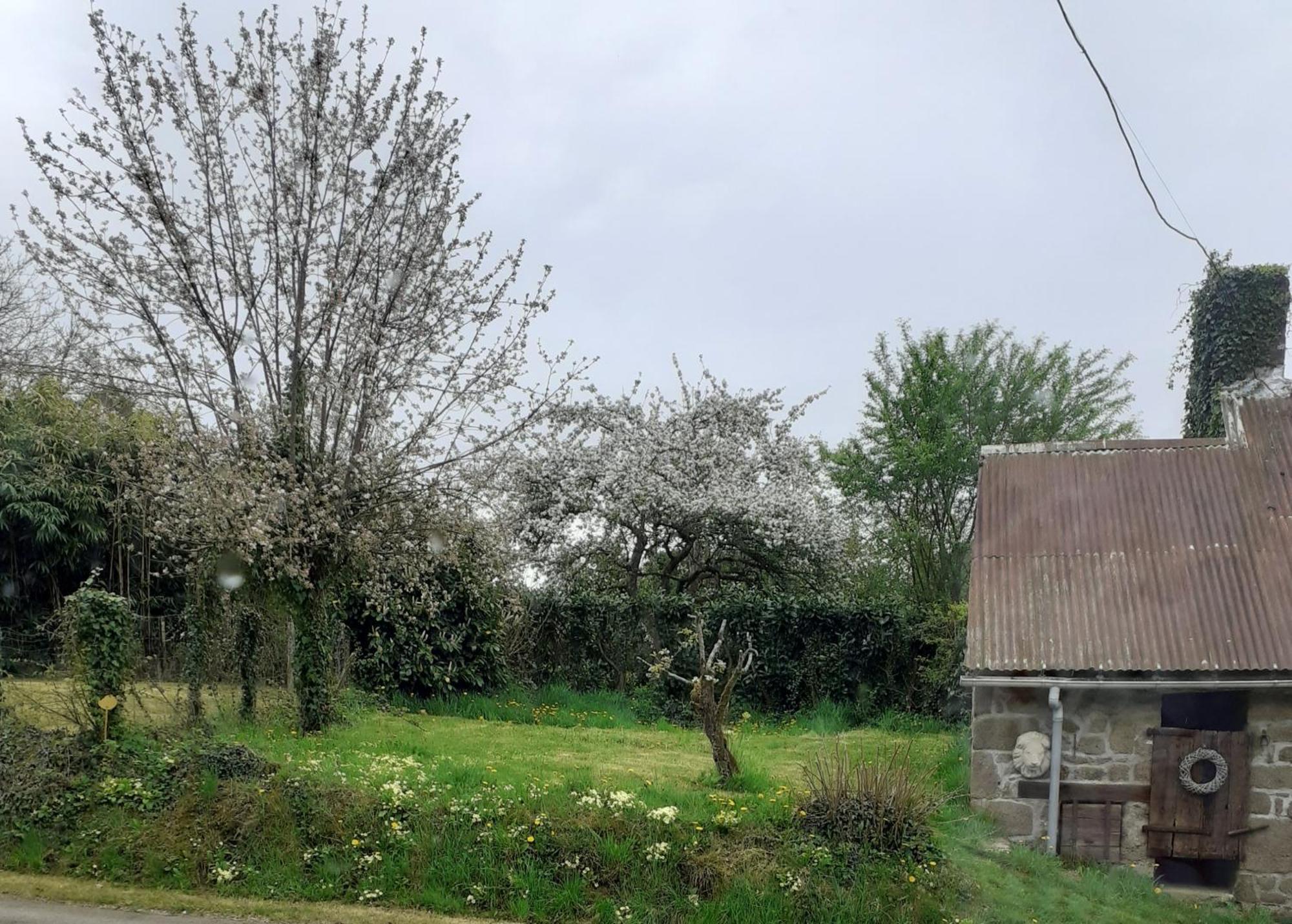 Wildberry Cottage Orgères-la-Roche Екстериор снимка